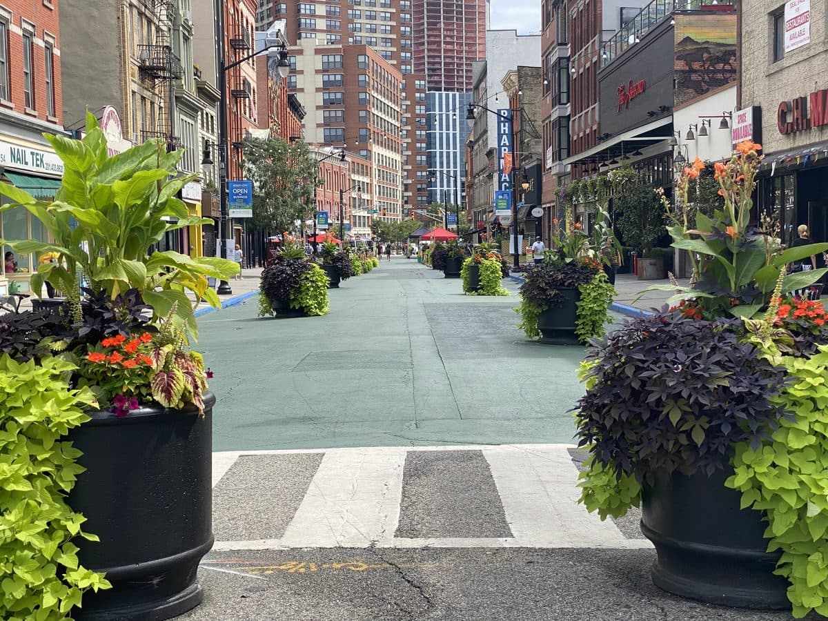 Sunny, tree-lined Hudson County street with planters